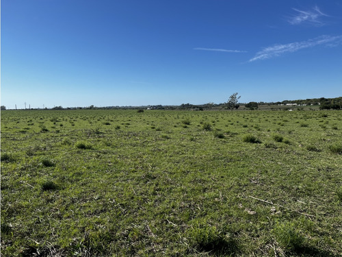 Vendo Terreno De 1,5 Hectárea En San Justo, Entre Ríos.