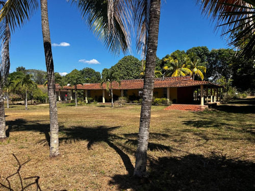  Venta  De Mini Finca, Casa Campestre En  Barrera  Sabana Del Medio  Tocuyito, Campo Carabobo      Yacer Cabrera