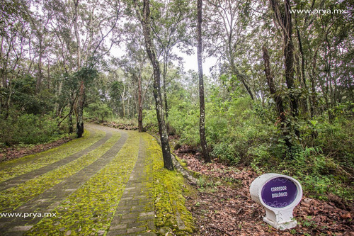 Terreno En Venta Reserva De Los Encinos, Teuchitlán