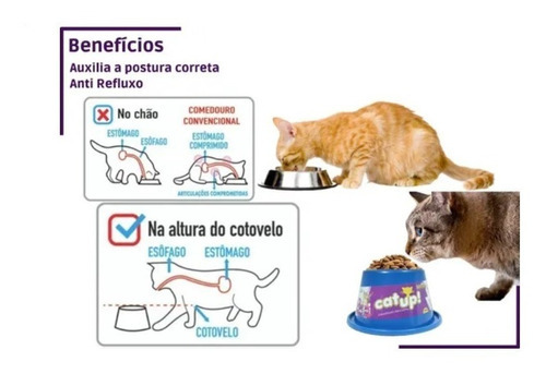 Comedouro Para Gatos, Funcional Alto - Cat'up