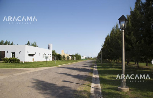 Imagen 9 de 30 de Lote En Venta En Belleville - Canning
