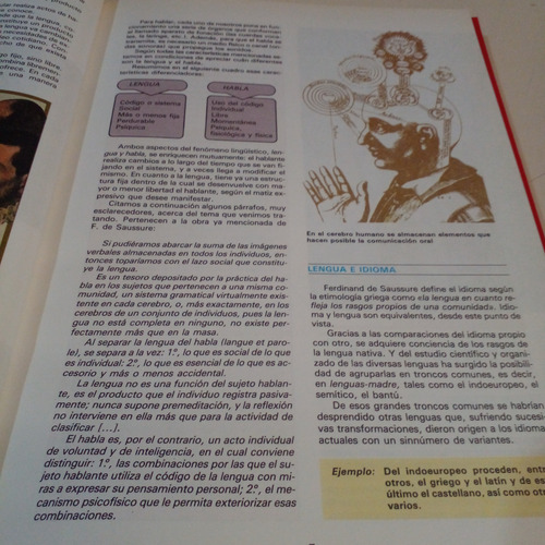 El Mundo De La Gramática Curso Teórico Práctico 4 Tomos (Usado)