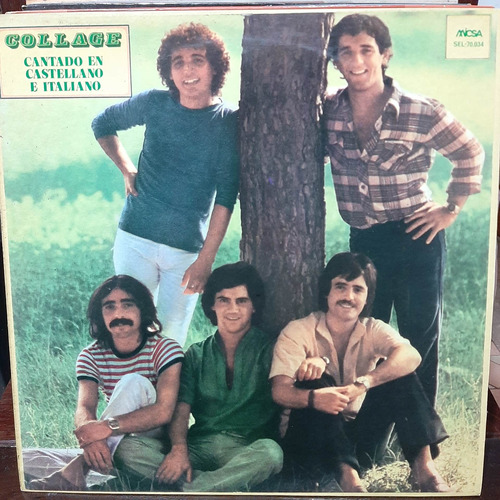 Vinilo Collage Cantado En Castellano E Italiano Bi3