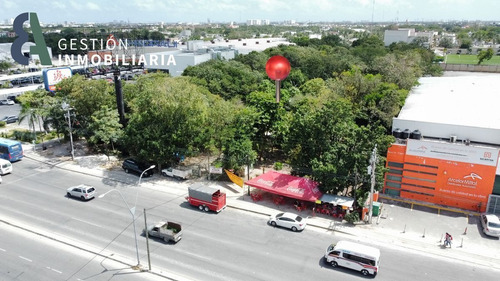 Imagen 3 de 6 de Terreno En Venta En Avenida Jose Lopez Portillo Cancún, Quin
