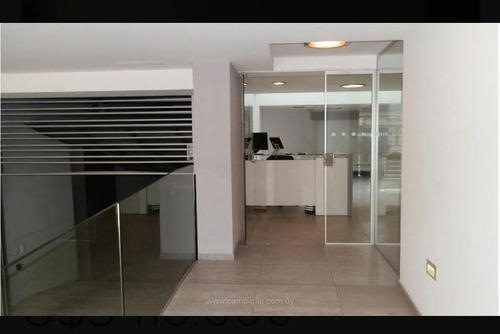 Imagen 6 de 8 de Imperdible Venta!! 1 Dormitorio, B/g, Tres Cruces!!