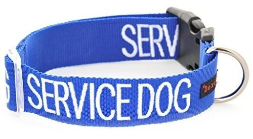 Collar Perro Servicio Azul Dexil Advertencia