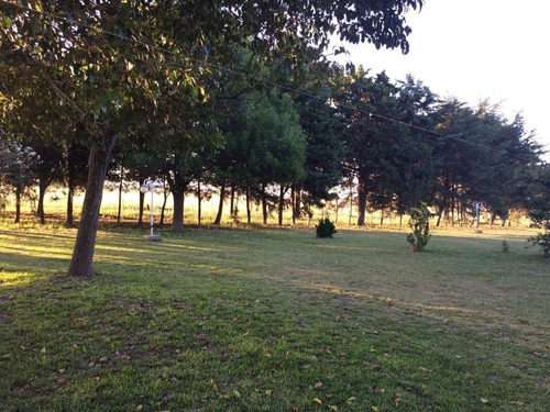 Imagen 8 de 17 de Campo De 10 Hectareas A 1500 Mts De Ruta 39 Con Chalet 4 Amb U$s180.000