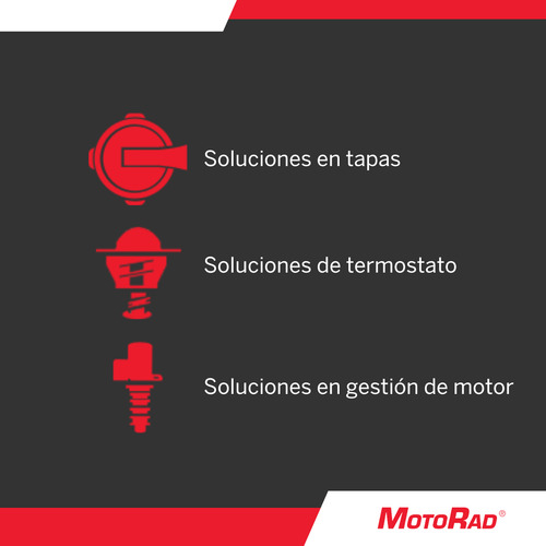 Termostato Refrigerante Chevrolet C20 7.4 1976 1977 1978