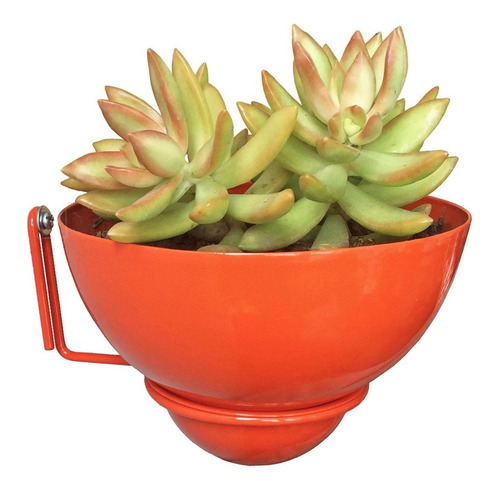 Maceta Con Soporte De Pared
