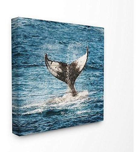 Stupell Industries Whale Tail Ocean Splash Lienzo Con Aspect