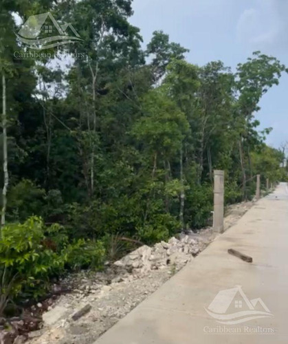 Terreno Residencial En  Venta En Puerto Morelos Riviera Maya Alrz7333