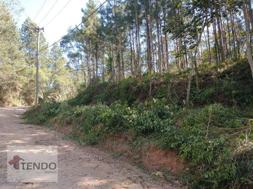 Imagem 3 de 4 de Terreno À Venda, 2500 M² Por R$ 180.000,00 - Estância Angelina - Suzano/sp - Te0252