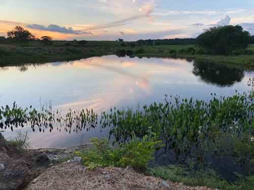 Imagem 5 de 25 de Linda Fazenda Na Bahia!!!!!