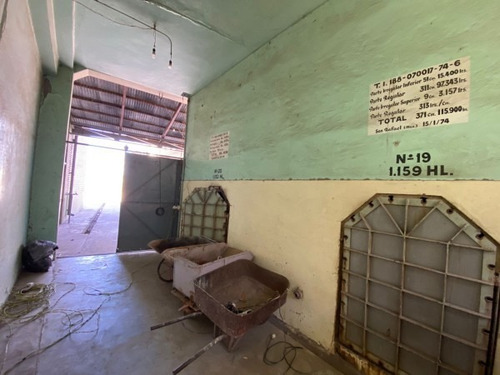 Imagen 12 de 19 de Excelente Oportunidad En San Rafael Se Vende Bodega