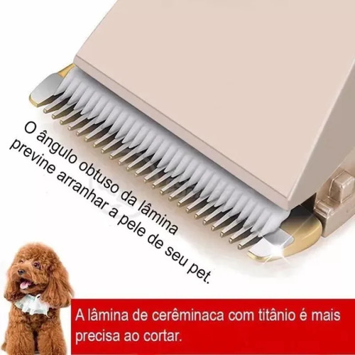 Kit Completo Para Pets: Aparador, Secador E Bebedouro Filtro Dourado