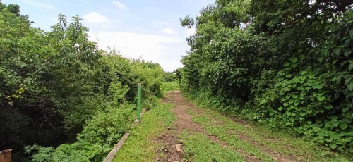 Imagen 6 de 8 de Terreno En Venta En Morelos