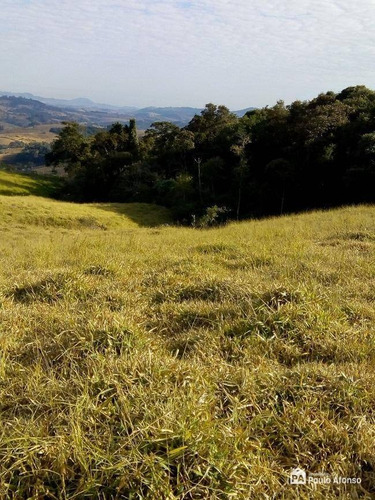Imagem 13 de 16 de Sítio À Venda, 446000 M² Por R$ 850.000,00 - Zona Rural - Caldas/mg - Si0009
