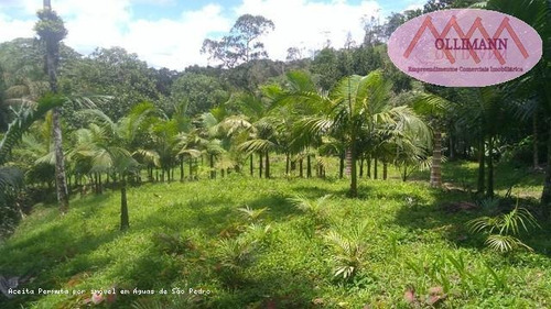 Imagem 5 de 15 de Sítio / Chácara Para Venda Em Peruíbe, Aliança, 2 Dormitórios, 1 Suíte, 1 Banheiro, 2 Vagas - 0831/2021_2-1217513
