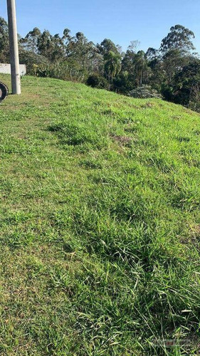 Imagem 6 de 14 de Terreno De 524 M² - Leve Declive - Portal Santa Paula - Te0362