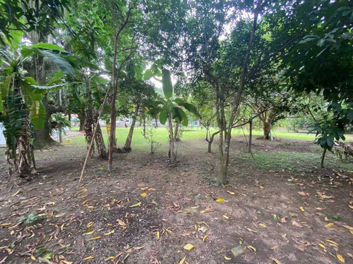 Imagem 3 de 15 de Terreno-à Venda-anil-rio De Janeiro - Pemf00031