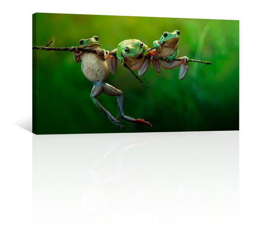 Cuadro Decorativo Canvas Animales Ranas Sobre Rama