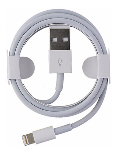 Cable Usb Cargador iPhone 5 Se 6 7 8 Plus X 11 iPad 2 Mts