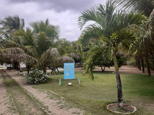 Imagem 1 de 15 de Chácara Para Venda, Zona Rural - In - 0028_1-1741101