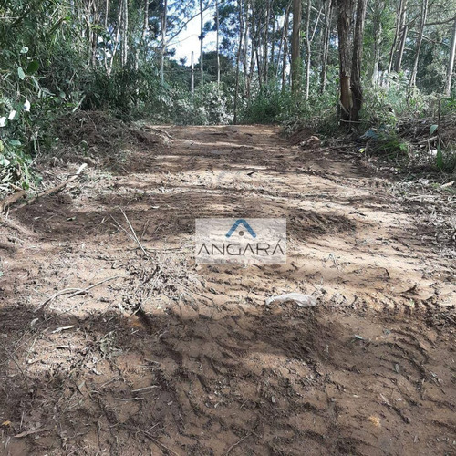 Imagem 2 de 3 de Area De 1000 Metros Para Formar Chacara Em Local De Muita Agua E Sossego ! - Ch0020