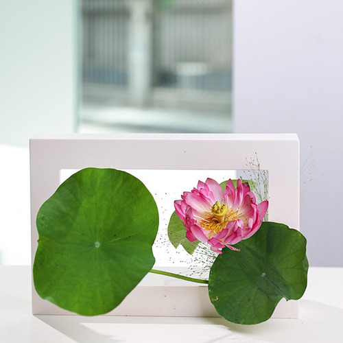3 Pin De Flor Rana Herramientas Fijas Arreglo Floral Kenzan