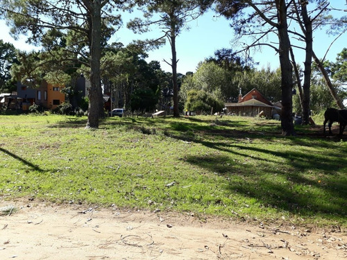 Imagen 5 de 7 de Venta De Lote En Costa Del Este, Partido De La Costa