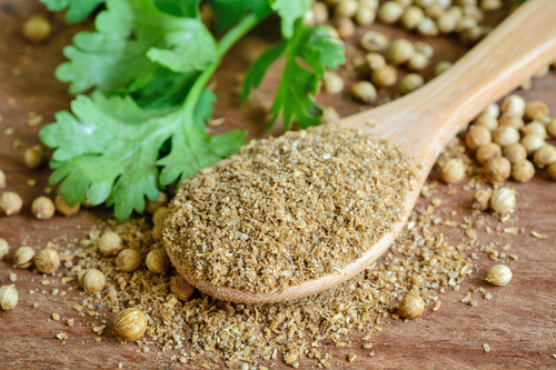 200 Semillas De Cilantro Criollo Más Aromático