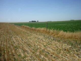 Imagen 5 de 15 de Campo Mixto 330 Has A 80km Del Puerto De Necochea- San Cayetano