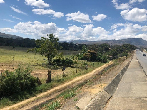 José Herrera Vende Mini Finca En La Entrada De Nirgua Estado Yaracuy. (plf-005)