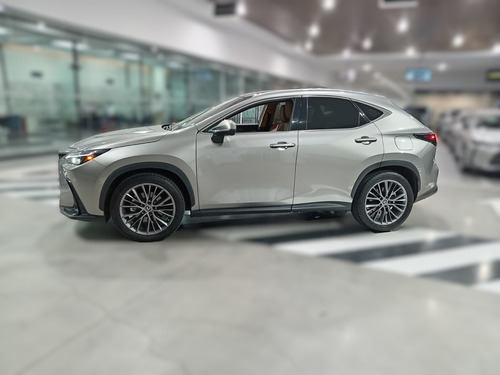 Lexus Nx 2022