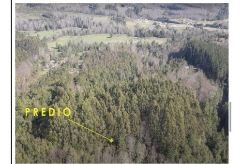 Parcela De 15 Has, A 1 Km Ruta 5 , Lipingue, Los Lagos