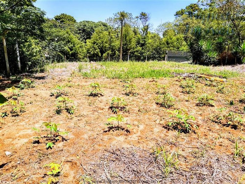 Imagem 23 de 28 de Chácaras Em Condomínio À Venda Em Atibaia/sp - Compre O Seu Chácaras Em Condomínio Aqui! - 864913