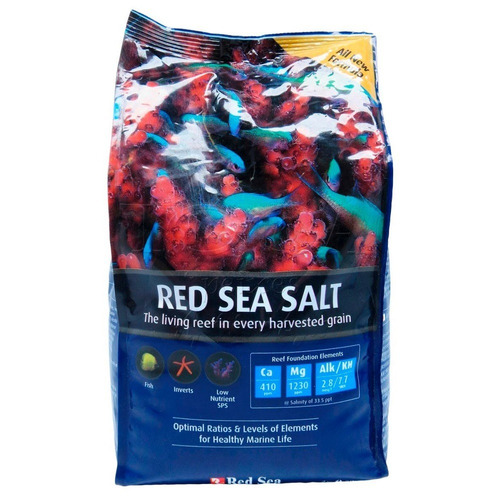 Sal Red Sea Peixes