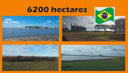 Imagem 1 de 1 de Fazenda Com 6200 Hectares Na Fronteira Oeste Do Rs