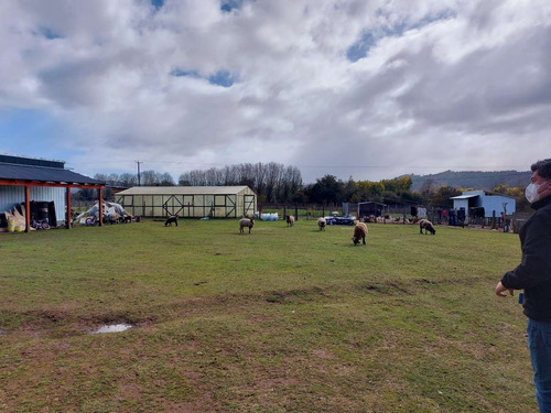 Parcela Tipo Granja