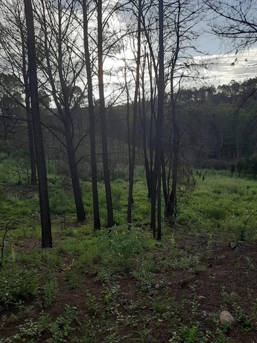Imagen 5 de 6 de Potrero De Garay: En El Corazón De Villa Del Condor Lote 7000 M2, Cba
