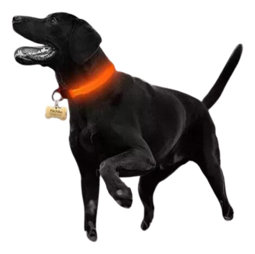 Collar Con Luz Led Para Mascotas