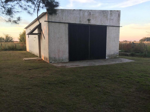 Chacra 10hectareas Dolores Bs As