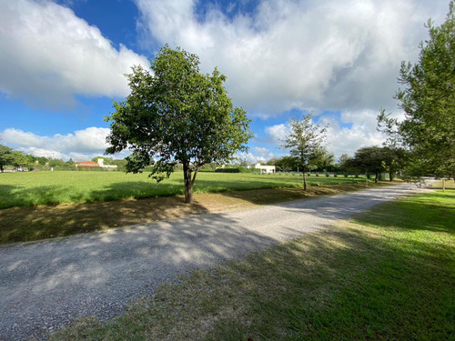 Terrenos En Venta Santa Apolonia - Cerrillos