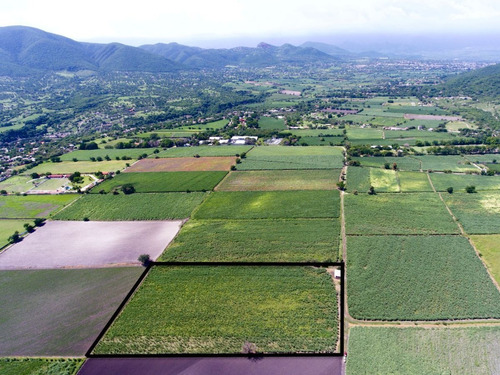 Venta Terreno En Yautepec