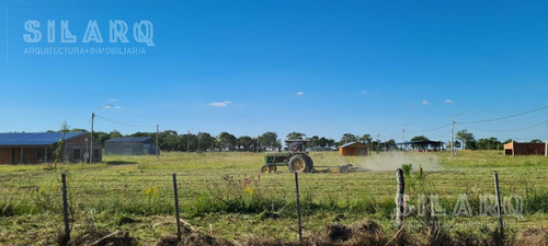Imagen 21 de 30 de Terreno - Ita Ibate Corrientes Punta Gallino