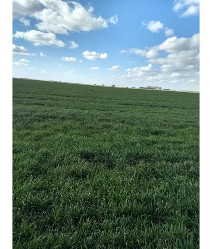 Imagen 2 de 4 de Oportunidad Unica, 222 Has Agricolas/ganaderas