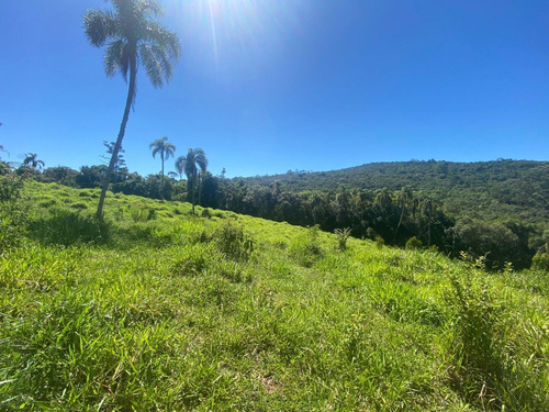 Imagem 5 de 5 de L22- Belissimo Terreno E Uma Bela Vista!