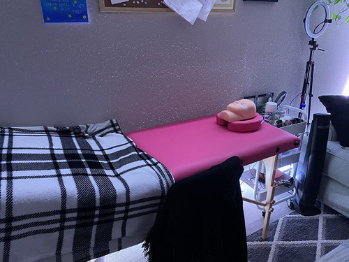 Cama De Masaje Profesional Portátil Plegable Ajuste Altura