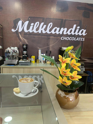 Vendo Essa Loja Prontinha, Milklandia Cholataria E Cafeteria