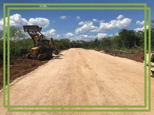 Imagen 6 de 8 de Se Venden Lotes Ceibo - Dzidzantún